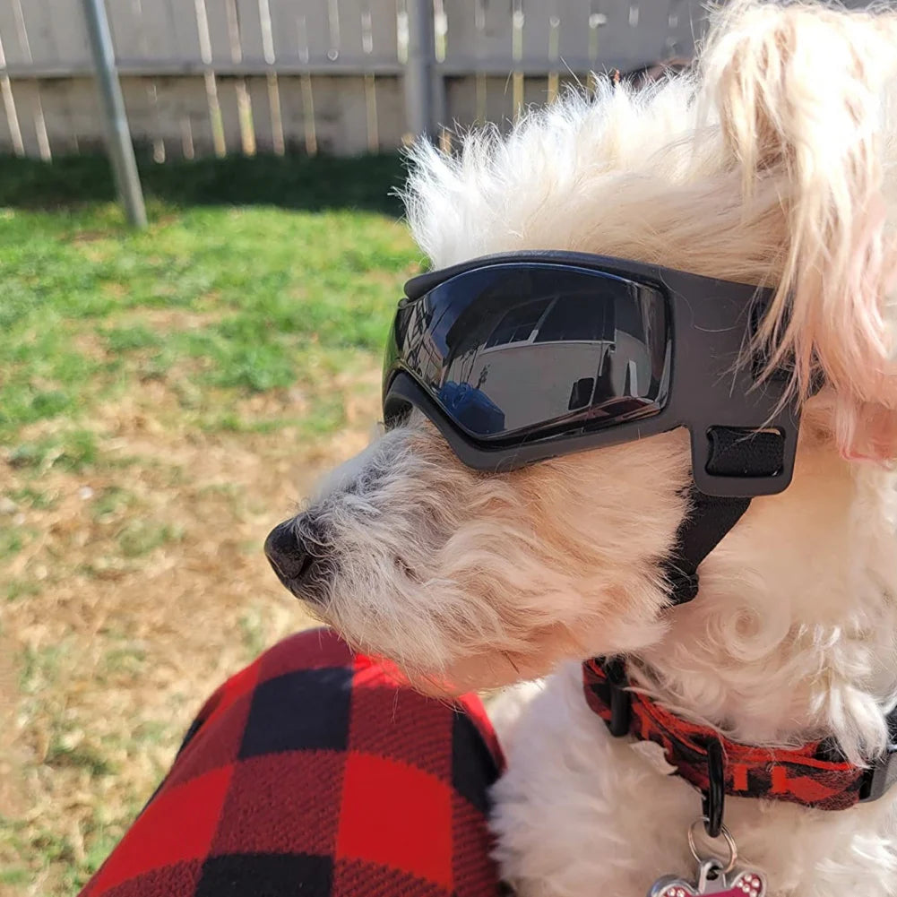 UV Protection Sunglasses for Small & Medium Dogs