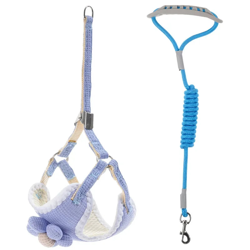 Adjustable blue dog harness and matching leash with padded front strap