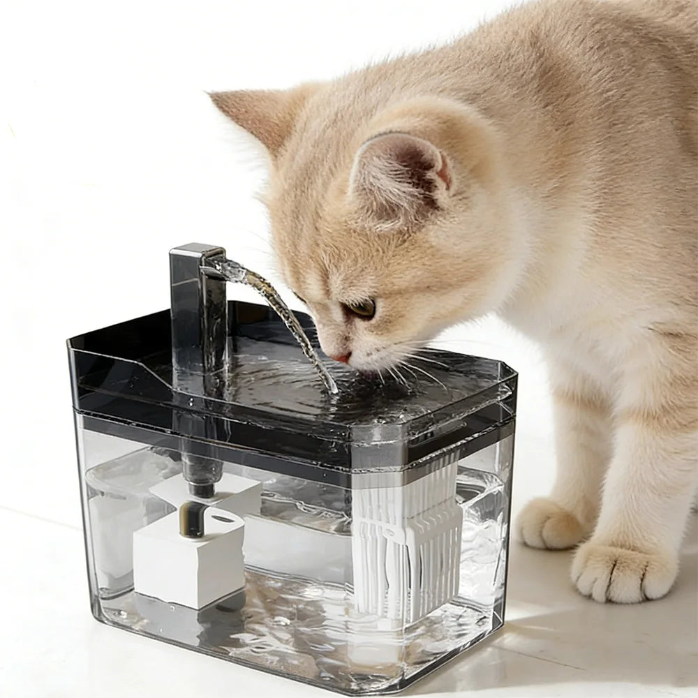 1.5L Cat Water Fountain Auto Filter USB | Live Circulation USA