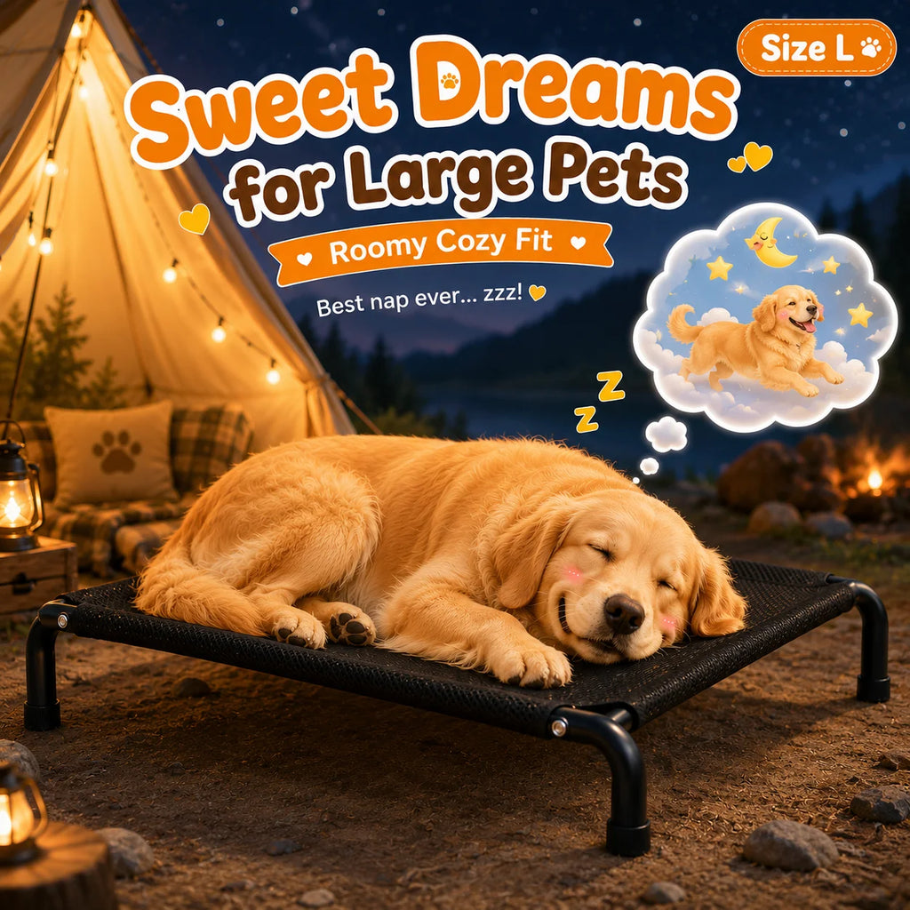 Washable Elevated Breathable Mesh Dog Bed for All Sizes