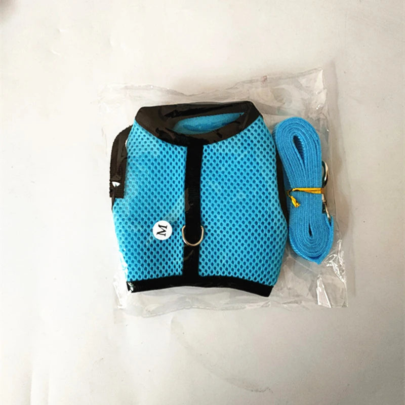 Blue mesh harness set with matching leash, black trim, and metal D-ring.