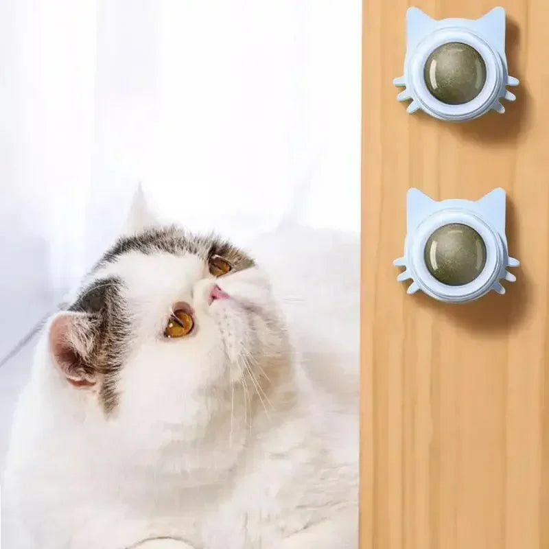 Wall Spin Catnip Ball Toy for Cats | PawJoyKwT