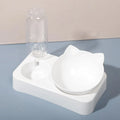 2-in-1 Automatic Pet Water & Food Dispenser Bowl