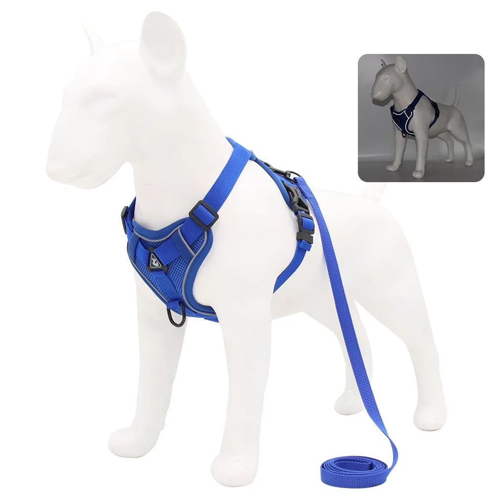 Dog harness and leash set in royal blue with adjustable chest and neck straps