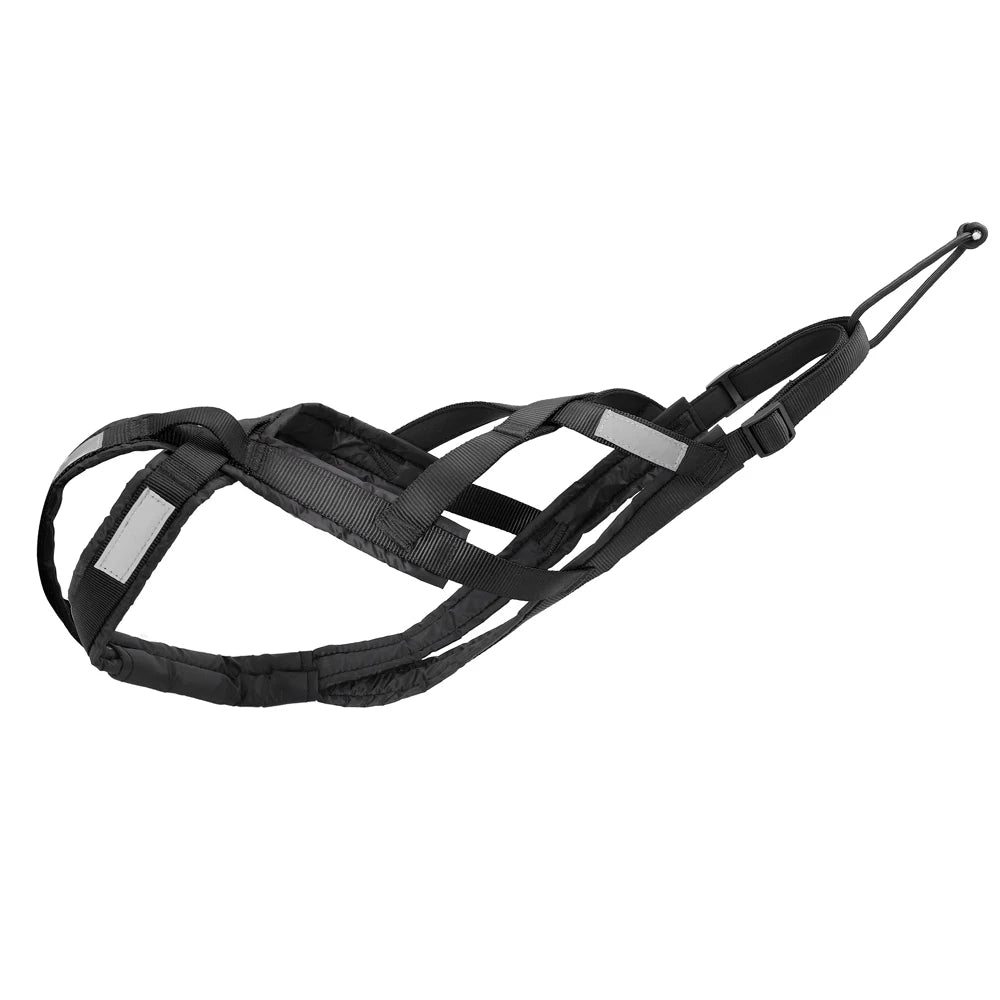 Black padded dog harness with leash, reflective stripes and cross-strap vest