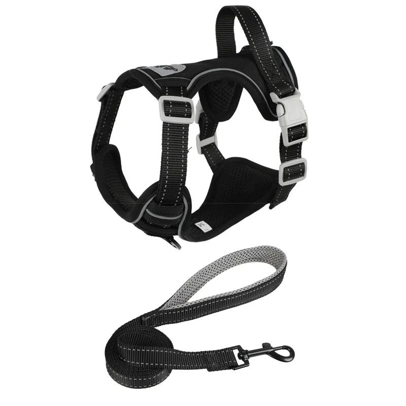 Black dog harness vest with adjustable buckles and matching leash set