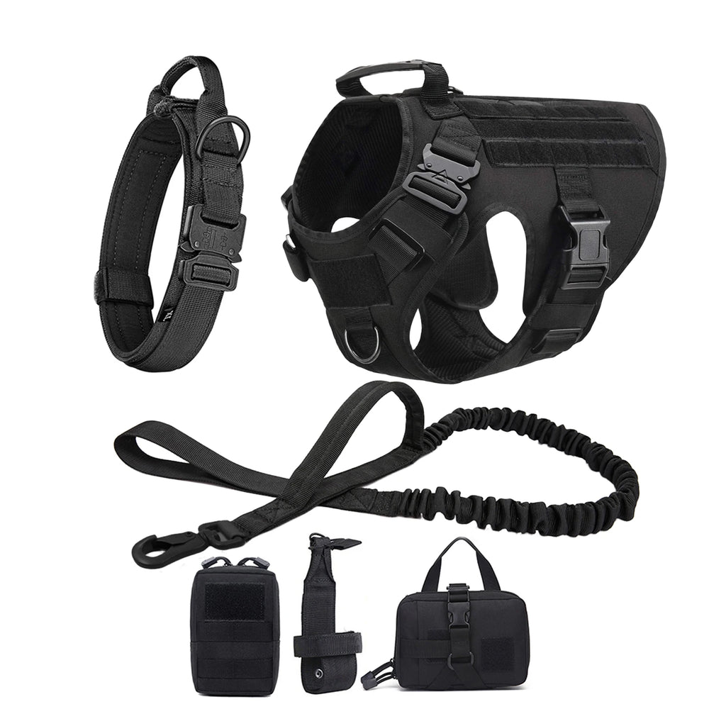 Black dog harness with leash and training accessories, padded chest and adjustable straps