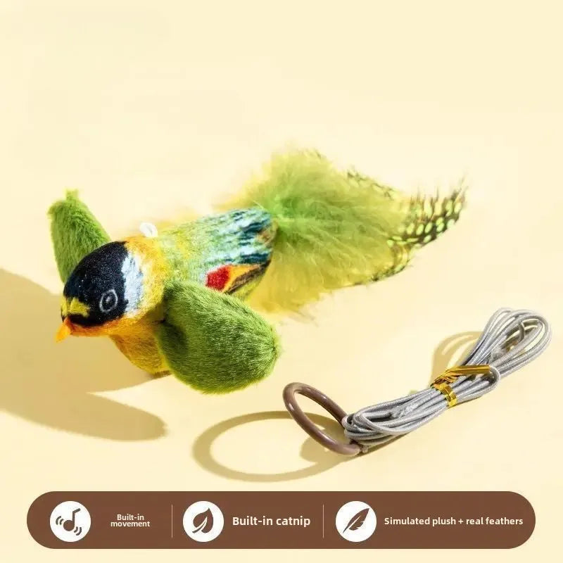 Wall-Hanging Bird Teaser with Catnip Indoor | PawJoyKwT