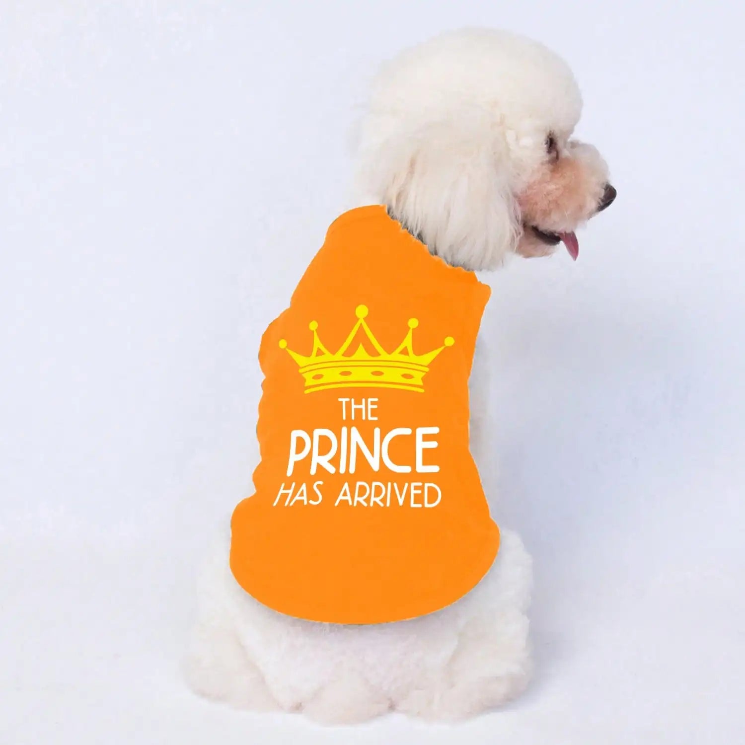Orange pet vest for dogs and cats with yellow crown and 'The Prince Has Arrived' text
