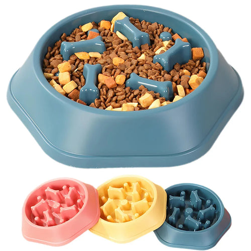 Blue slow feeder dog bowl with puzzle insert filled with dry kibble