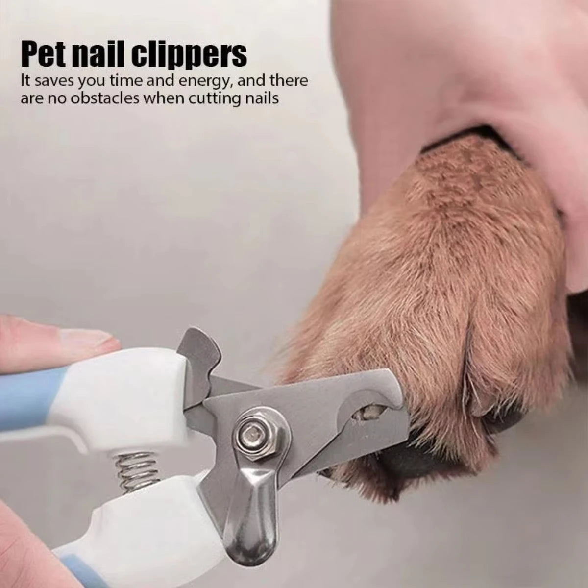 Pet nail clippers gripping a dog paw, with blue-and-white plastic handles