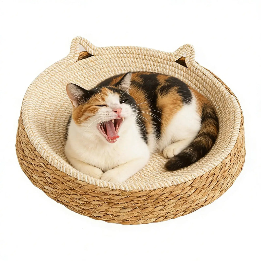 Natural Rattan Woven Cat Sofa Bed Indoor Scratch Board