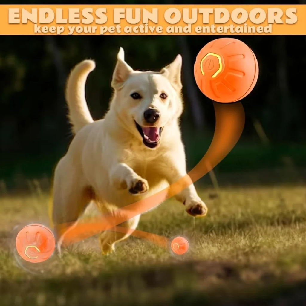 Smart Gravity Electric Bouncing Ball for Dogs & Cats