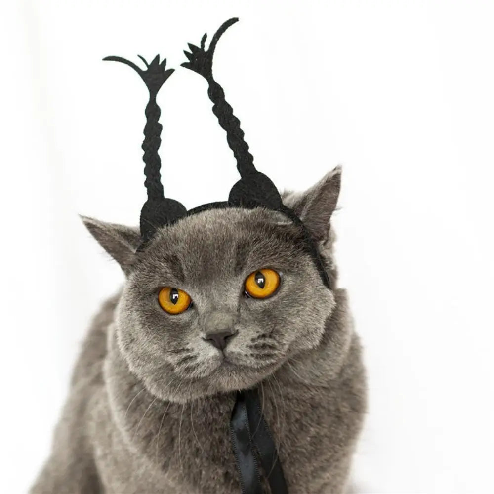 Gray cat wearing black horn-style headband with dangling tie