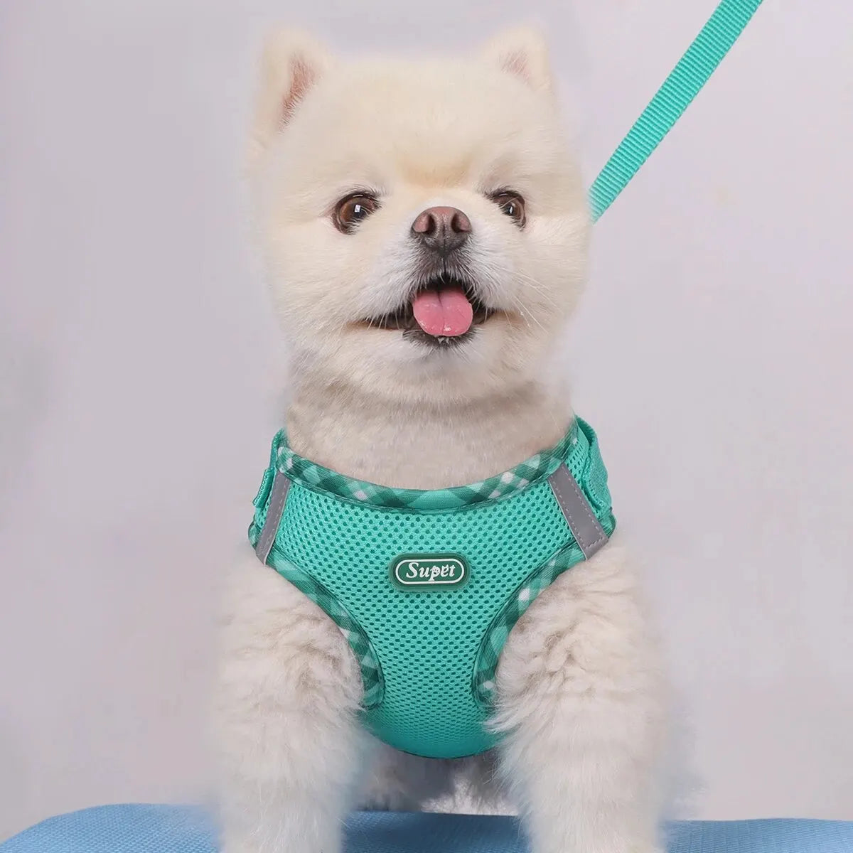 Dog Harness Leash Set Rainbow Colorful Cute Adjustable No Pull Vest Small Medium