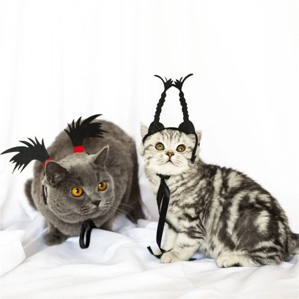 Cat wearing black horn-style cosplay headband with hanging ribbon tie