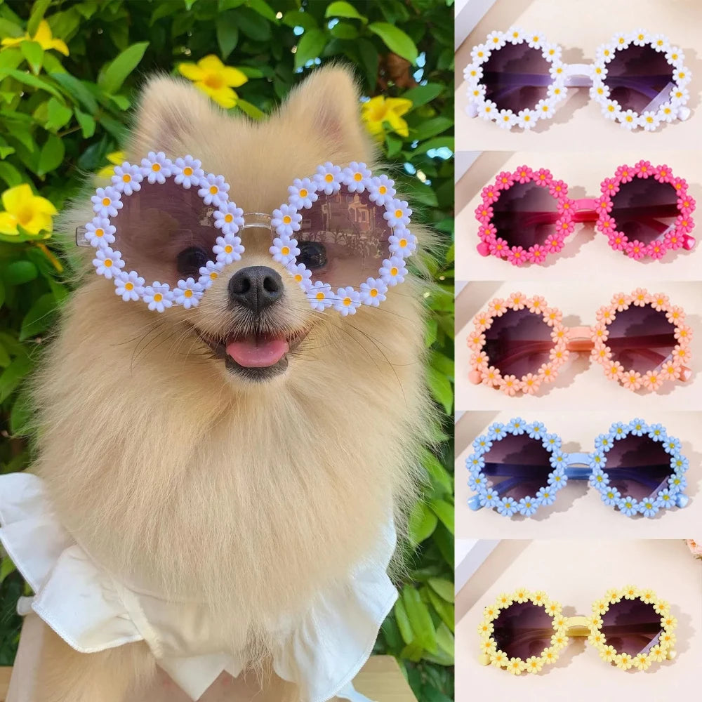 Round flower sunglasses for pets, white frames with blue and yellow daisy details
