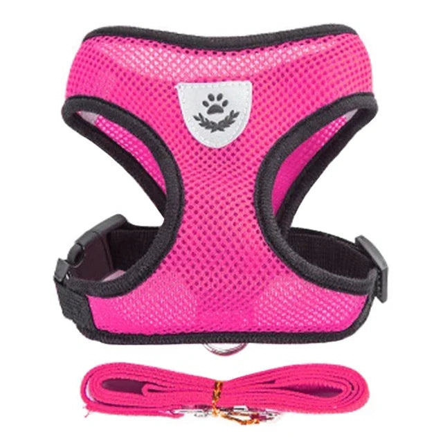 Pink mesh cat harness with adjustable straps and matching leash