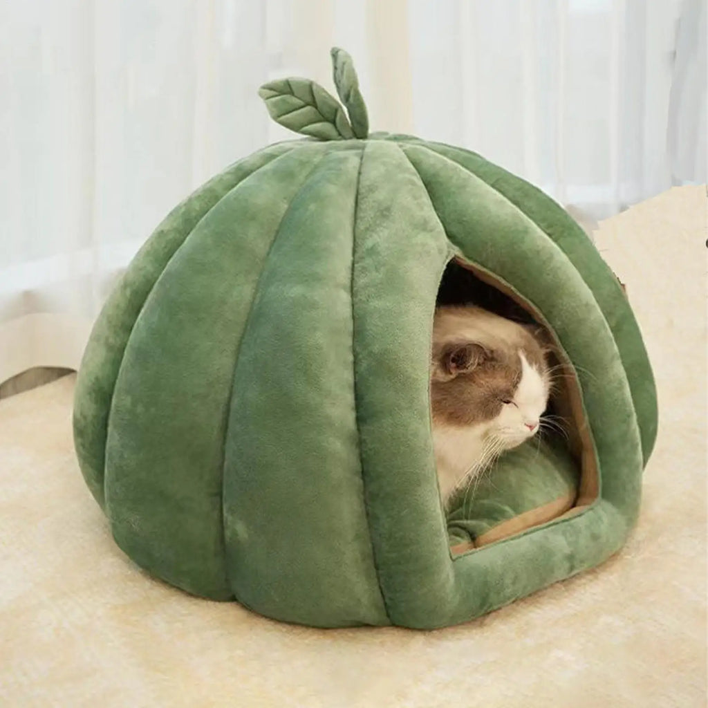 Pumpkin Cat House Enclosed Bed for Kittens
