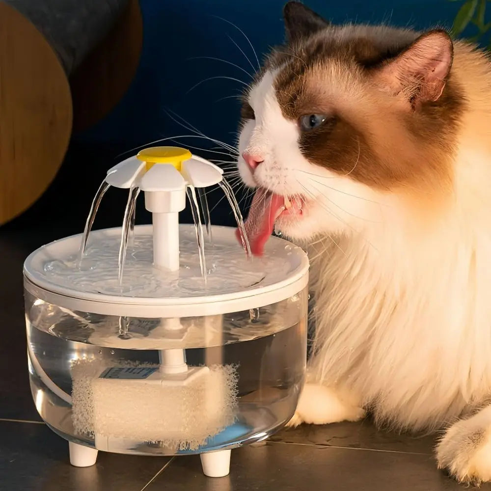 Electric Transparent Cat Fountain | See-Through Pet Fountain USA