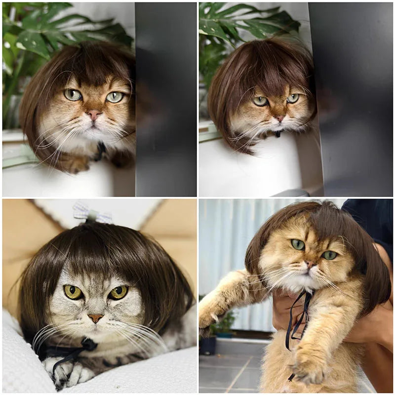 Cat wig headdress with brown faux fur hair and chin strap, shown from multiple views