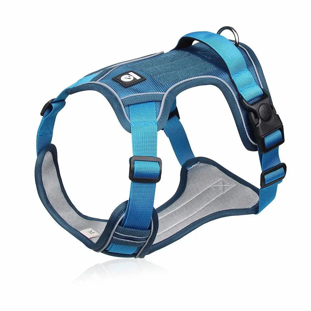 Lake blue reflective dog harness vest with matching adjustable straps