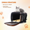 Airline Approved Soft Sided Dog Cat Carrier Bag