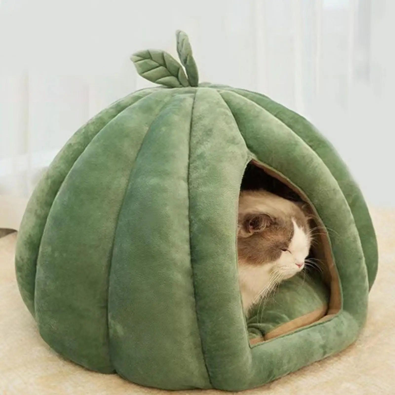 Pumpkin Cat House Enclosed Bed for Kittens