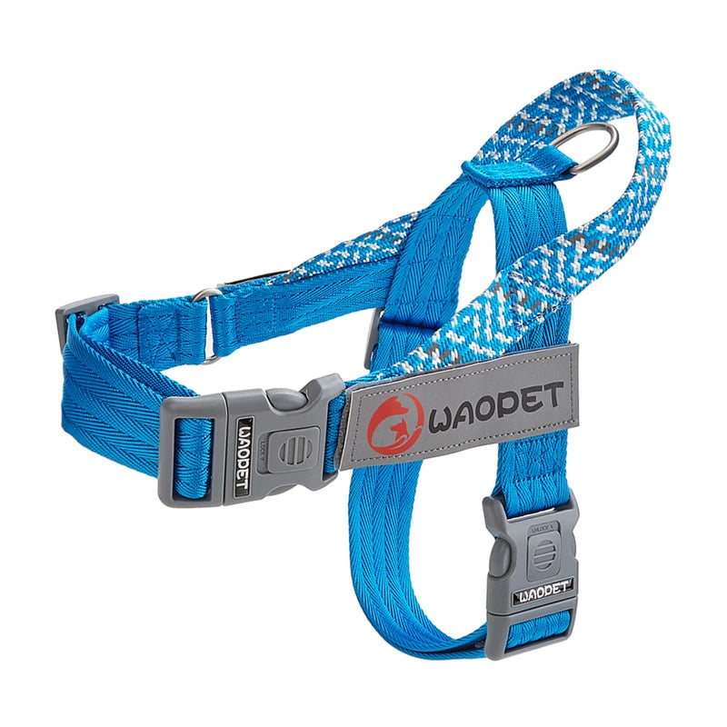 Large no-pull dog harness in blue nylon with front strap, metal buckles and D-ring
