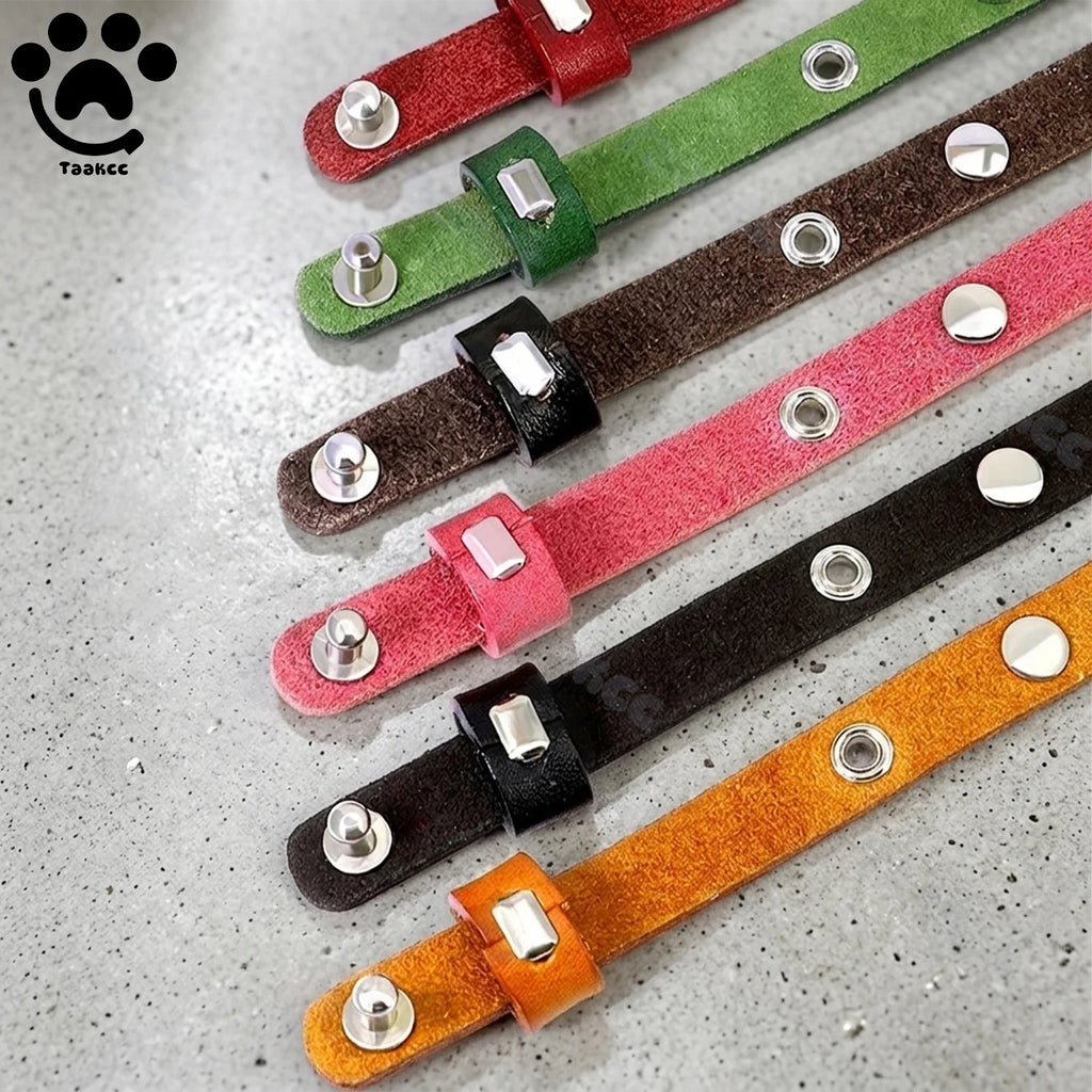 Assorted leather cat collars in green, red, brown, pink, orange, and black