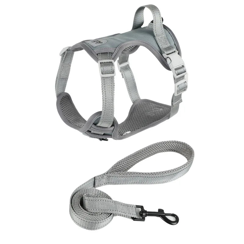 Grey adjustable small dog harness vest with buckles and matching leash