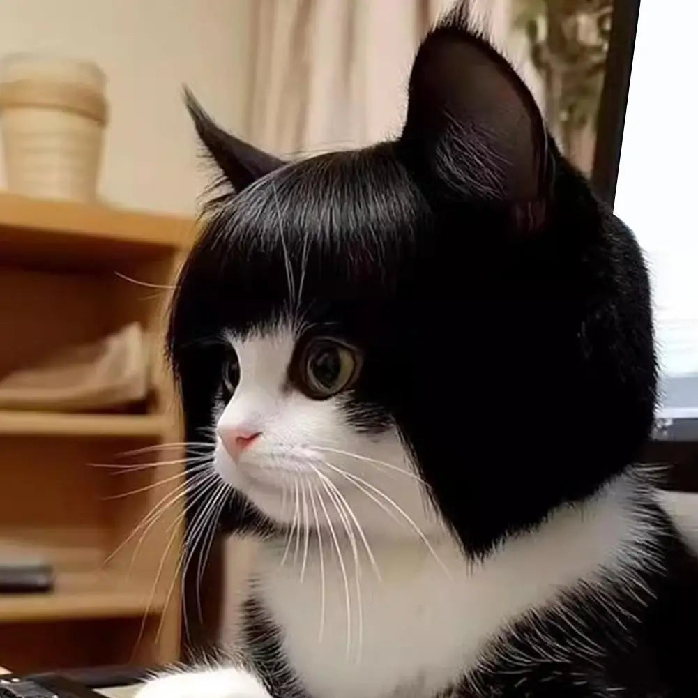 Pet wig headdress with short black bob and side-swept bangs, worn by a cat
