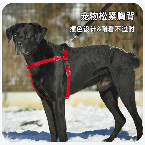 Adjustable dog harness vest with red straps and dark chest panel on a dark coat dog