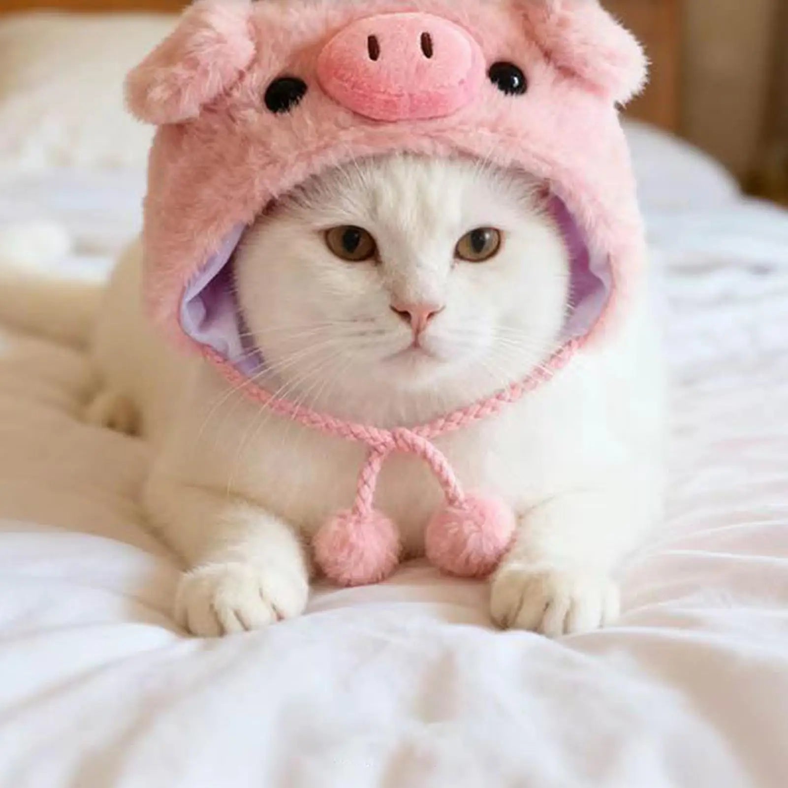 Pink pig plush costume hat on a white cat with snout face and chin ties