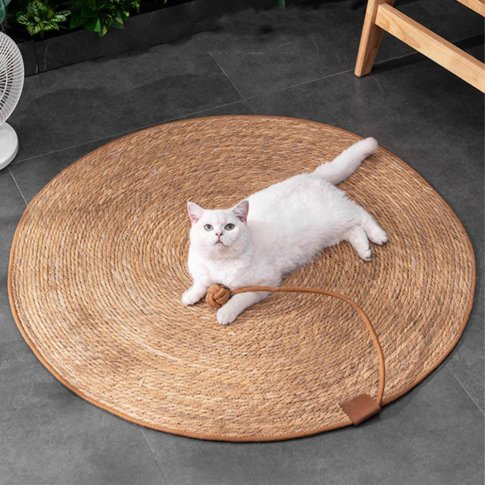 Rattan Cat Scratching Board