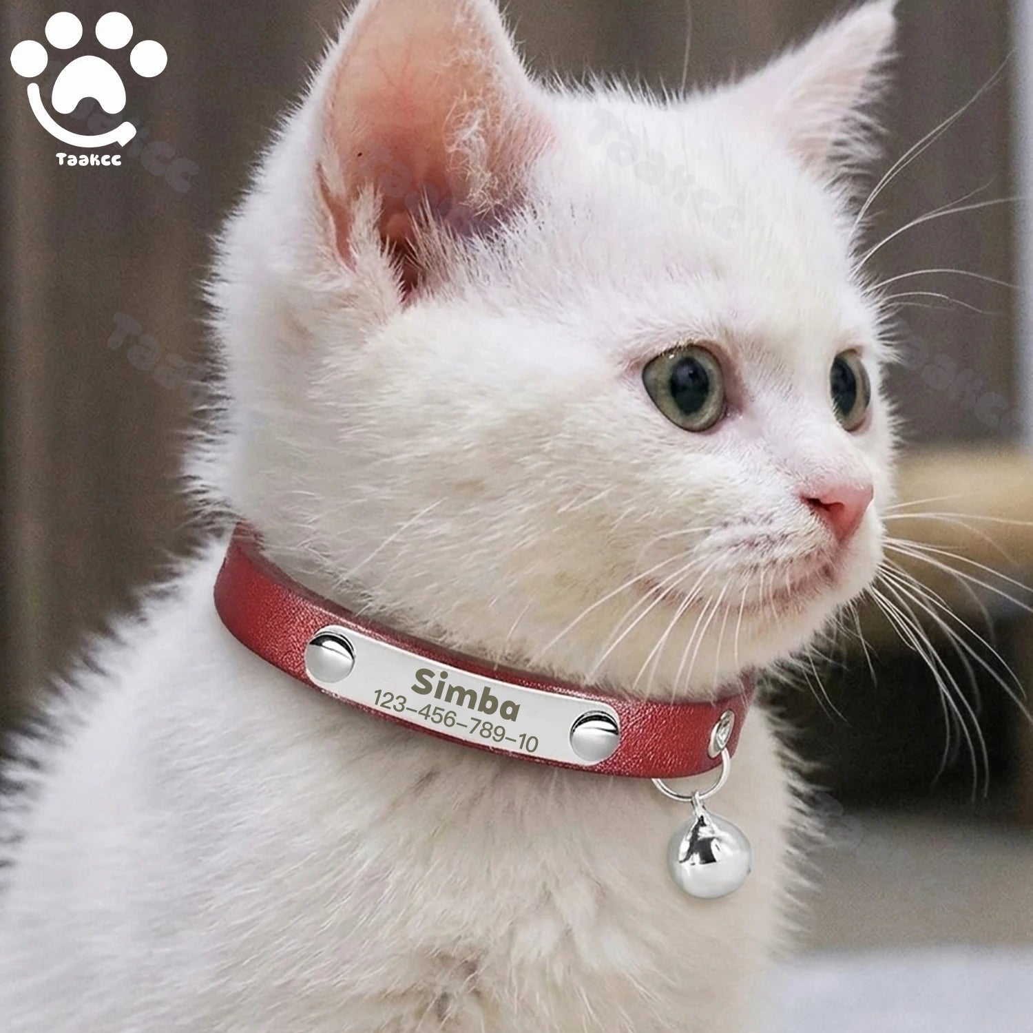 Red leather cat collar with bell charm and engraved name plate on white cat
