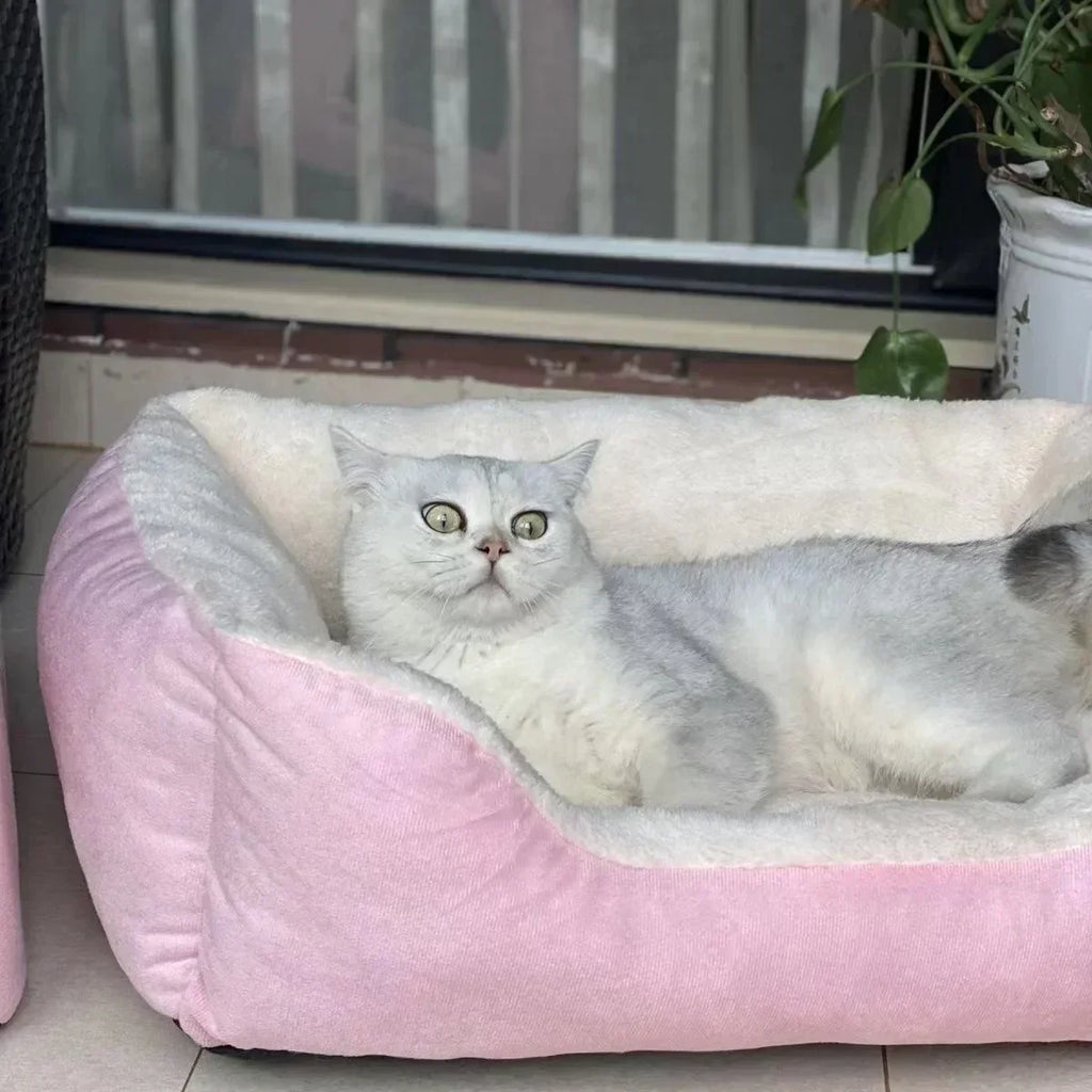 New Bed for Cats Pet Products Cushions Kitten Goods Accessories Dog All Home Supplies Things Accessory Habitats Basket House Bed