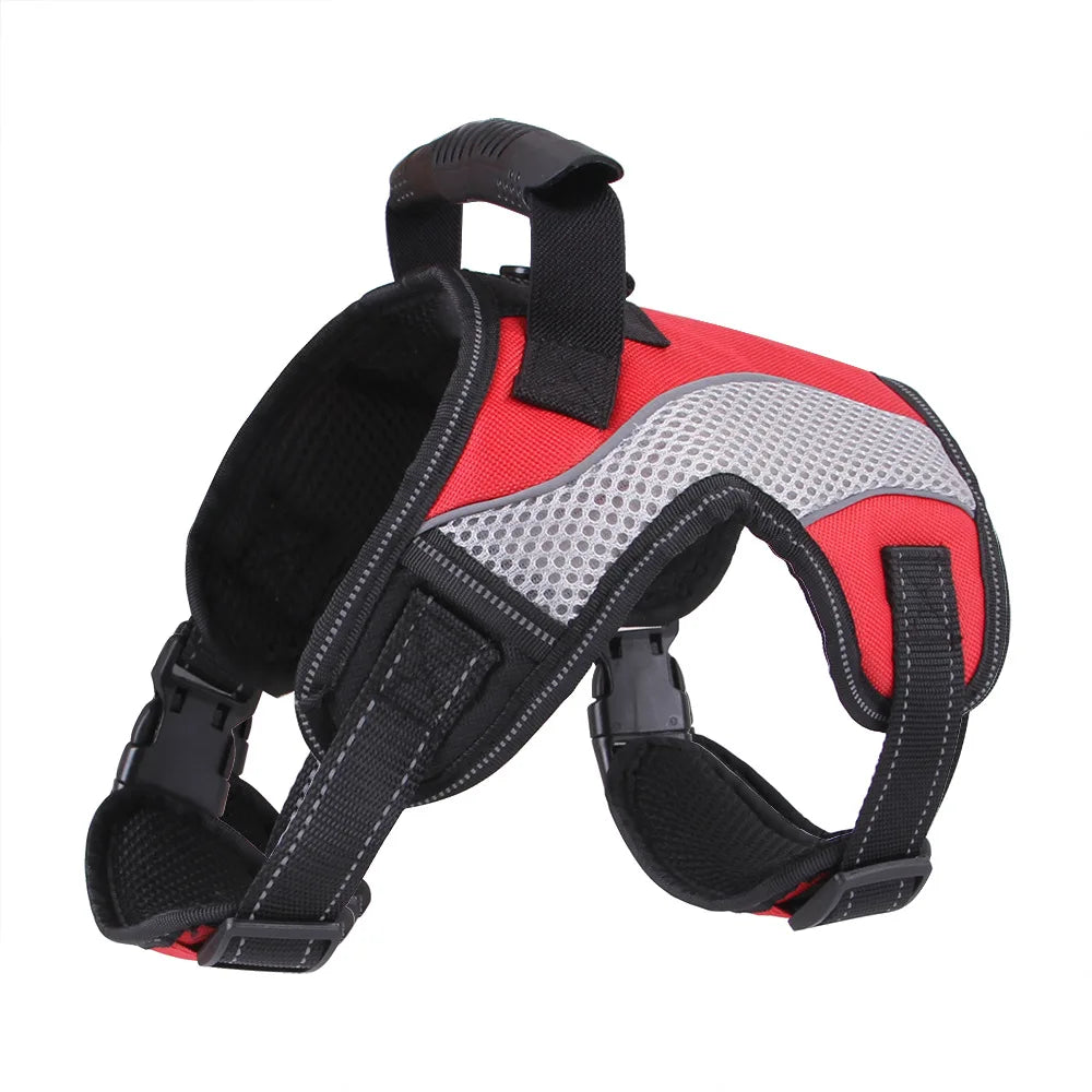 No-Pull Padded Dog Harness Leash Clips Easy Control | PawJoyKwT