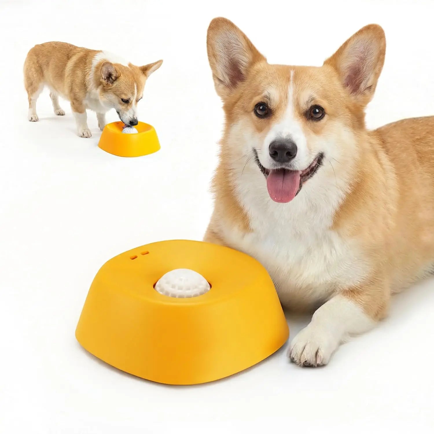 Yellow slow-feed dog bowl with white insert; orange dog sniffing