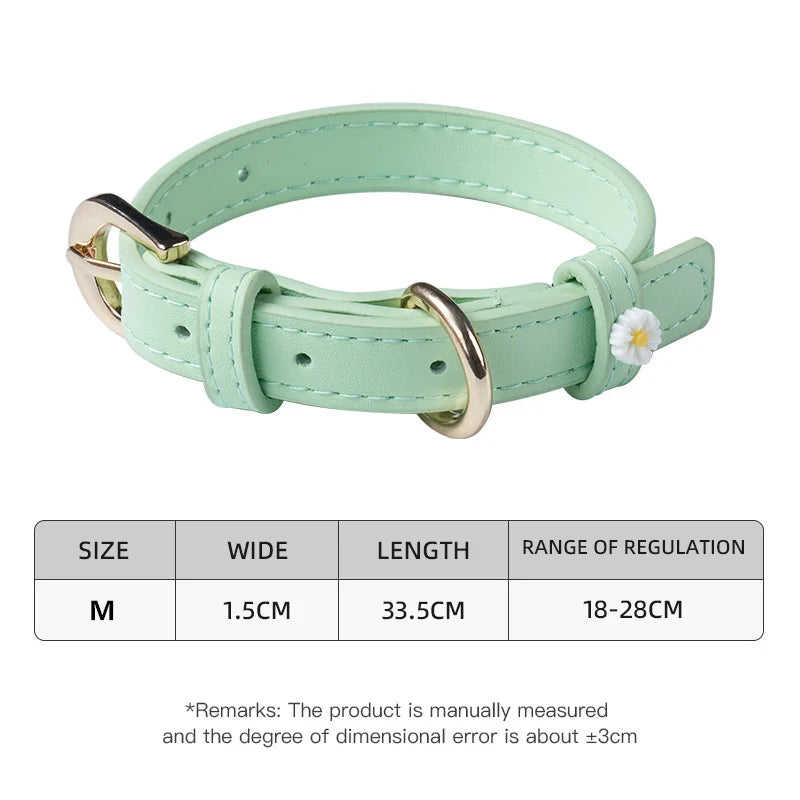Mint green PU leather pet collar with metal buckle and daisy charm.