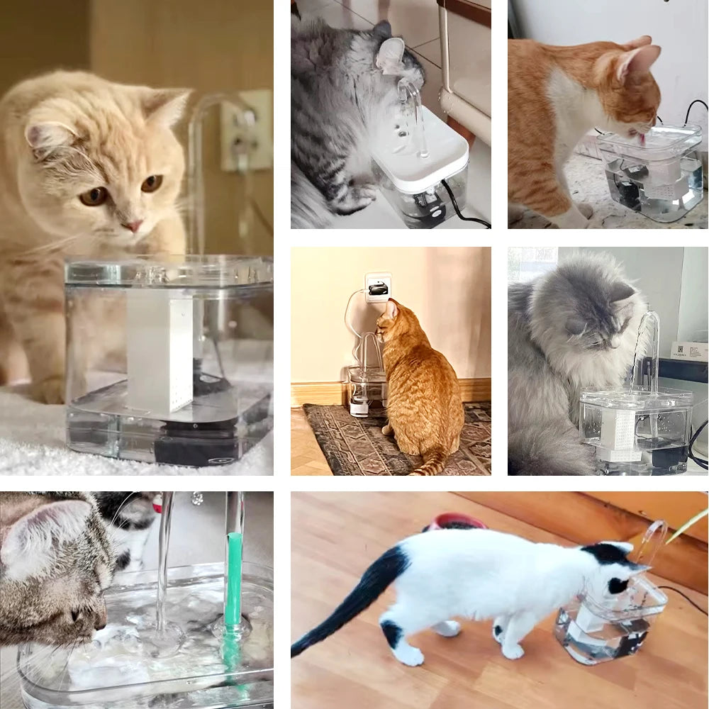 USB Cat Water Fountain Transparent Auto Filter Mute Recirculating Dispenser