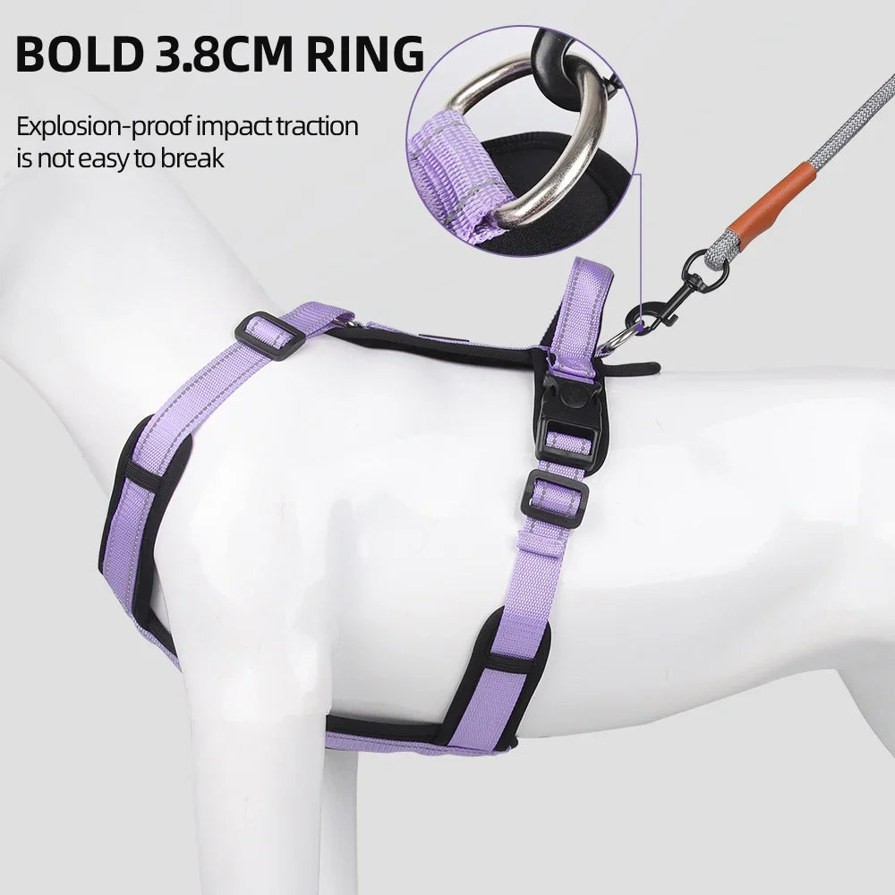 Purple dog chest harness with metal D-ring and adjustable leash clip