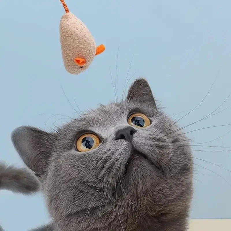 Interactive Plush Rat Set Toy for Cats | PawJoyKwT