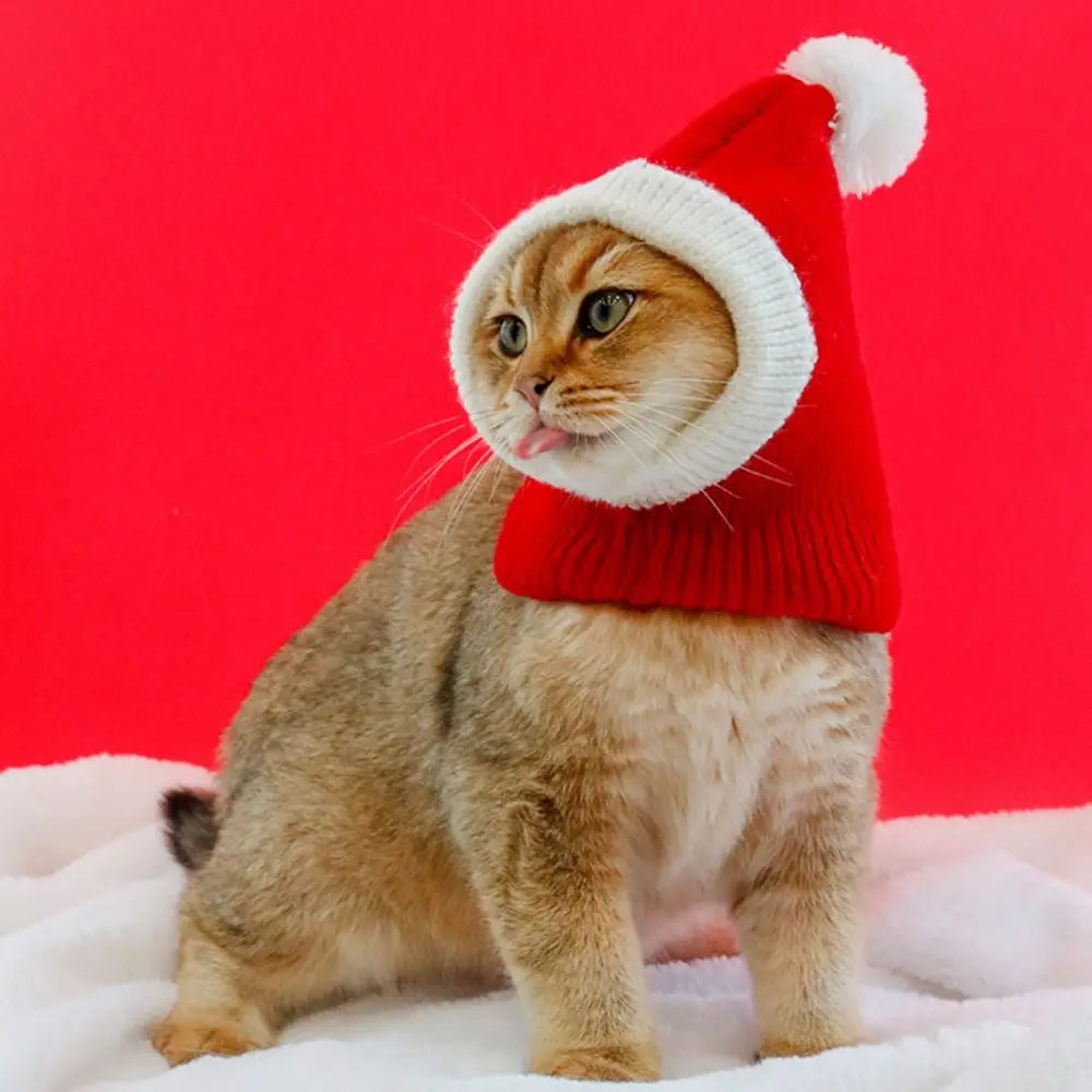 Festive Wool Hat for Cats & Dogs — Christmas & New Year