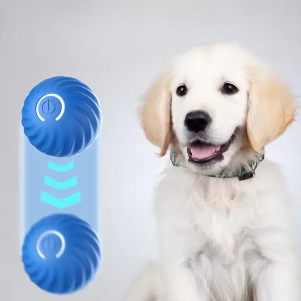 Automatic Cat Toy Electric Rotating Butterfly Teaser Wand Interactive Kitten Toy