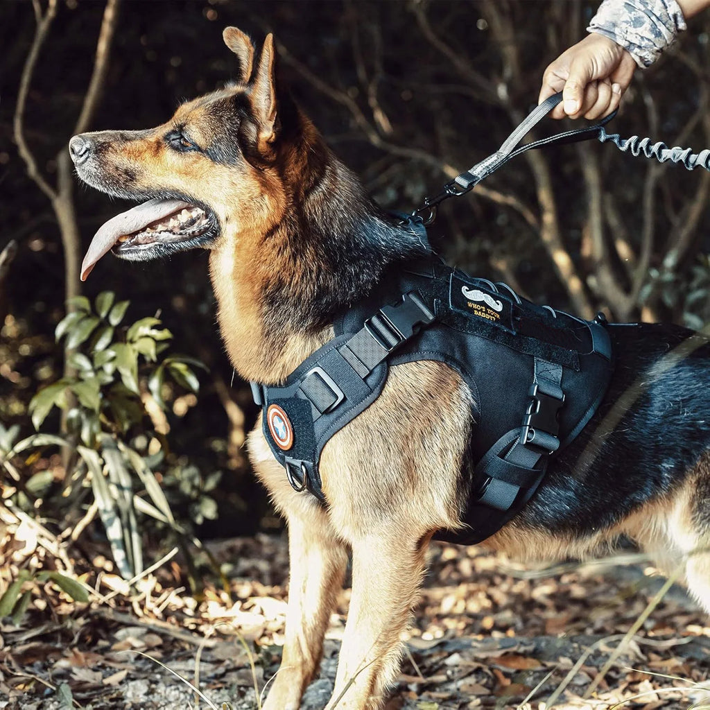 Tactical No-Pull Service Dog Harness Handle Vest | PawJoyKwT