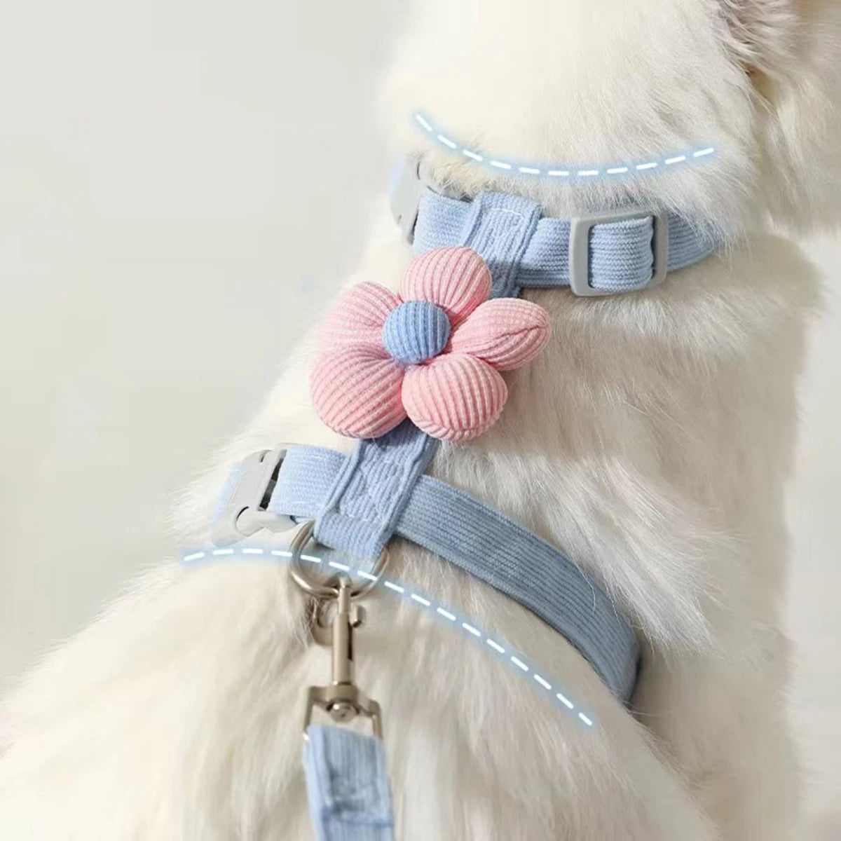 Cat harness and leash set close-up: light blue harness and pink-blue flower