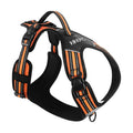Dog Harness Leash Set Star Print Cute Adjustable No Pull Vest Small Medium Puppy