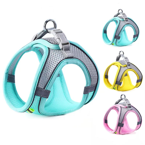 Pet harness vest with reflective trim, teal chest panel and gray mesh, adjustable straps