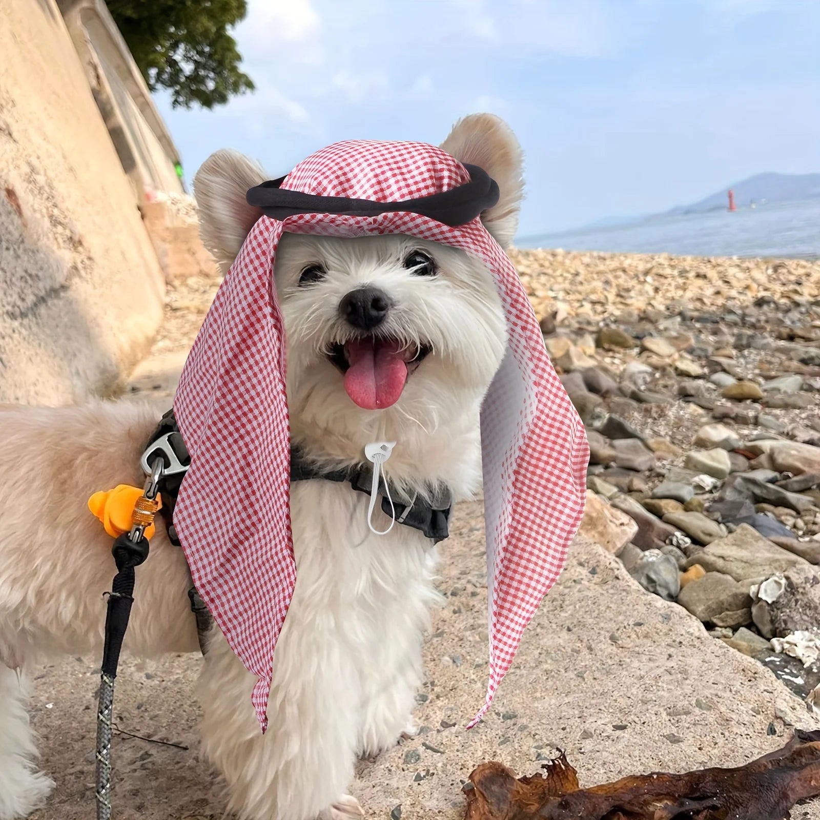 Pet headscarf costume hat for cats and dogs, red gingham hood with black top